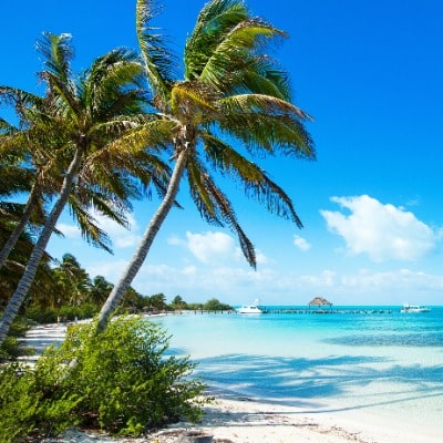 hôtel mariage à punta cana